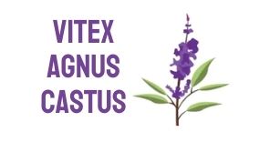 VITEX AGNUS CASTUS