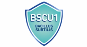 Bacillus subtilis CU1 + Zn